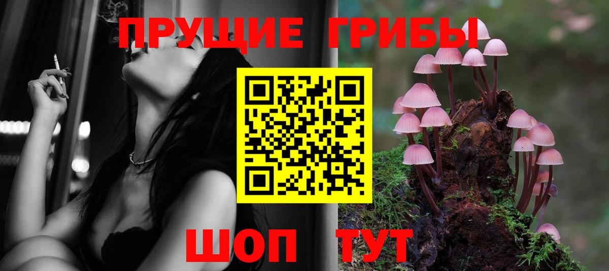 Галлюциногенные грибы Psilocybe Славянск-на-Кубани